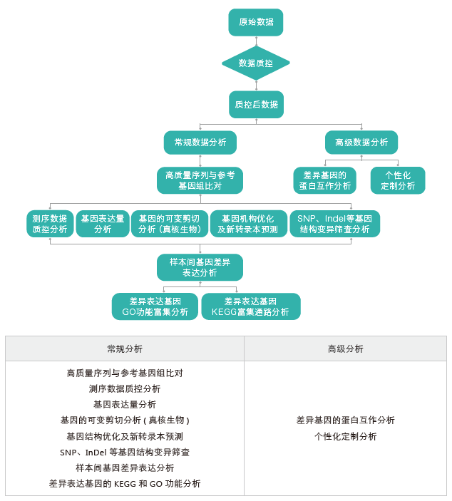 转录组测序-生信分析流程（有参）-腾博会官网基因