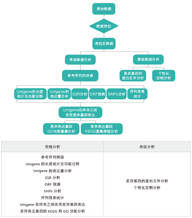 转录组测序-生信分析流程（无参）-腾博会官网基因