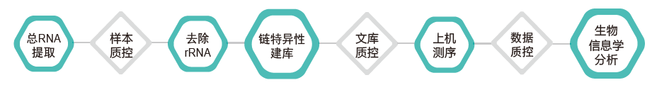 长链非编码RNA（lncRNA）测序-技术路线-腾博会官网基因