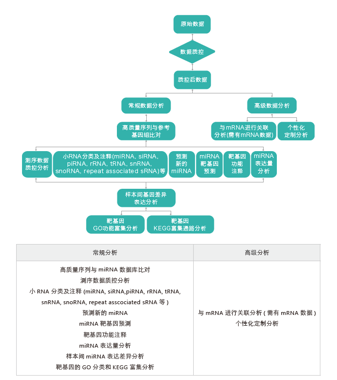 小RNA（small RNA）测序-生信分析流程-腾博会官网基因