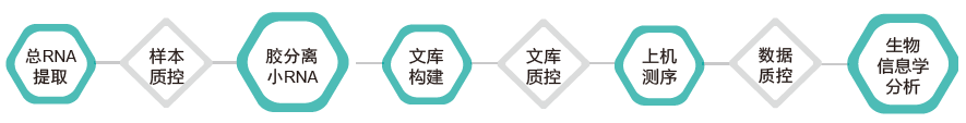 小RNA（small RNA）测序-技术路线-腾博会官网基因
